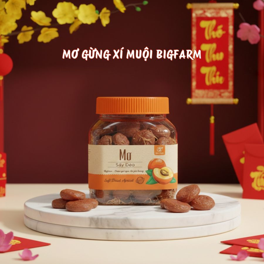 Mơ gừng xí muội